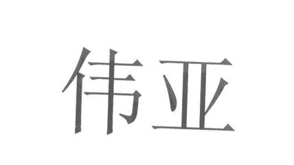 伟亚 信息查询与近似查询技术的应用与实践
